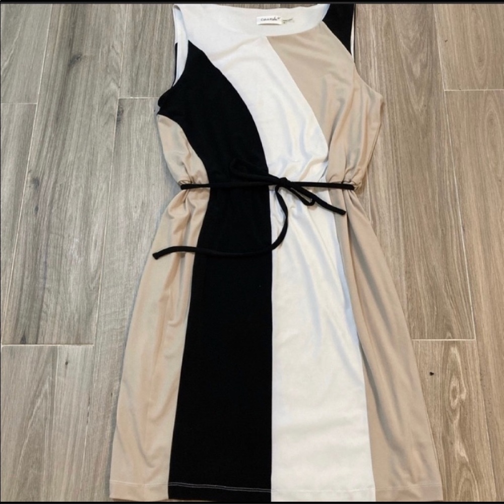 Calvin Klein Dress Size 10